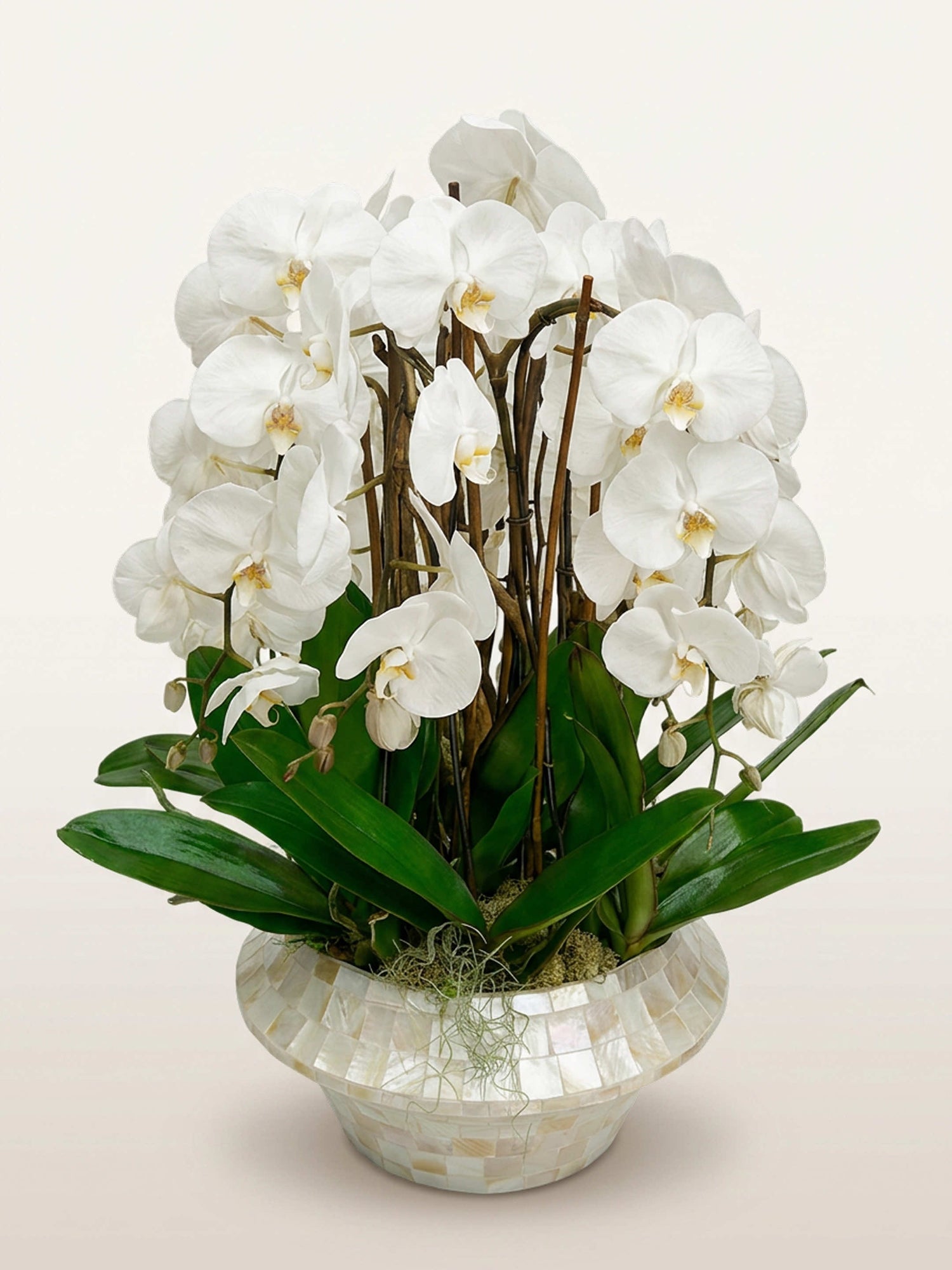 Bella Bianca, neuf tiges d'orchidées blanches en rotonde, dans un vase mosaïque nacré