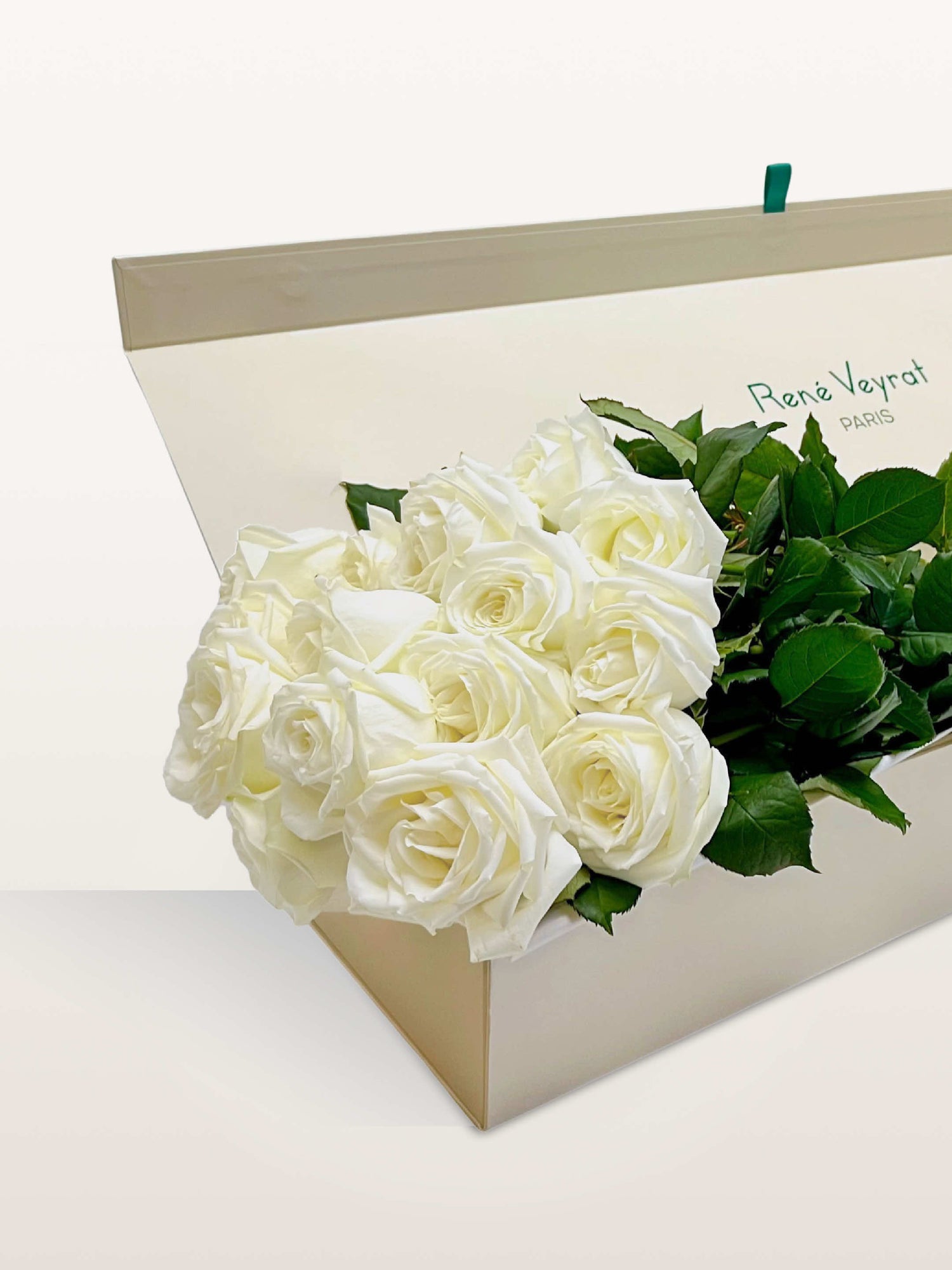 Coffret Chantilly ivoire ouvert, roses blanches groupées avec feuillage vert visible sur le côté