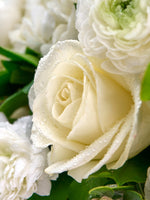 Rose Reine Blanche S perlée de gouttelettes, entourée de renoncules et pivoines blanches