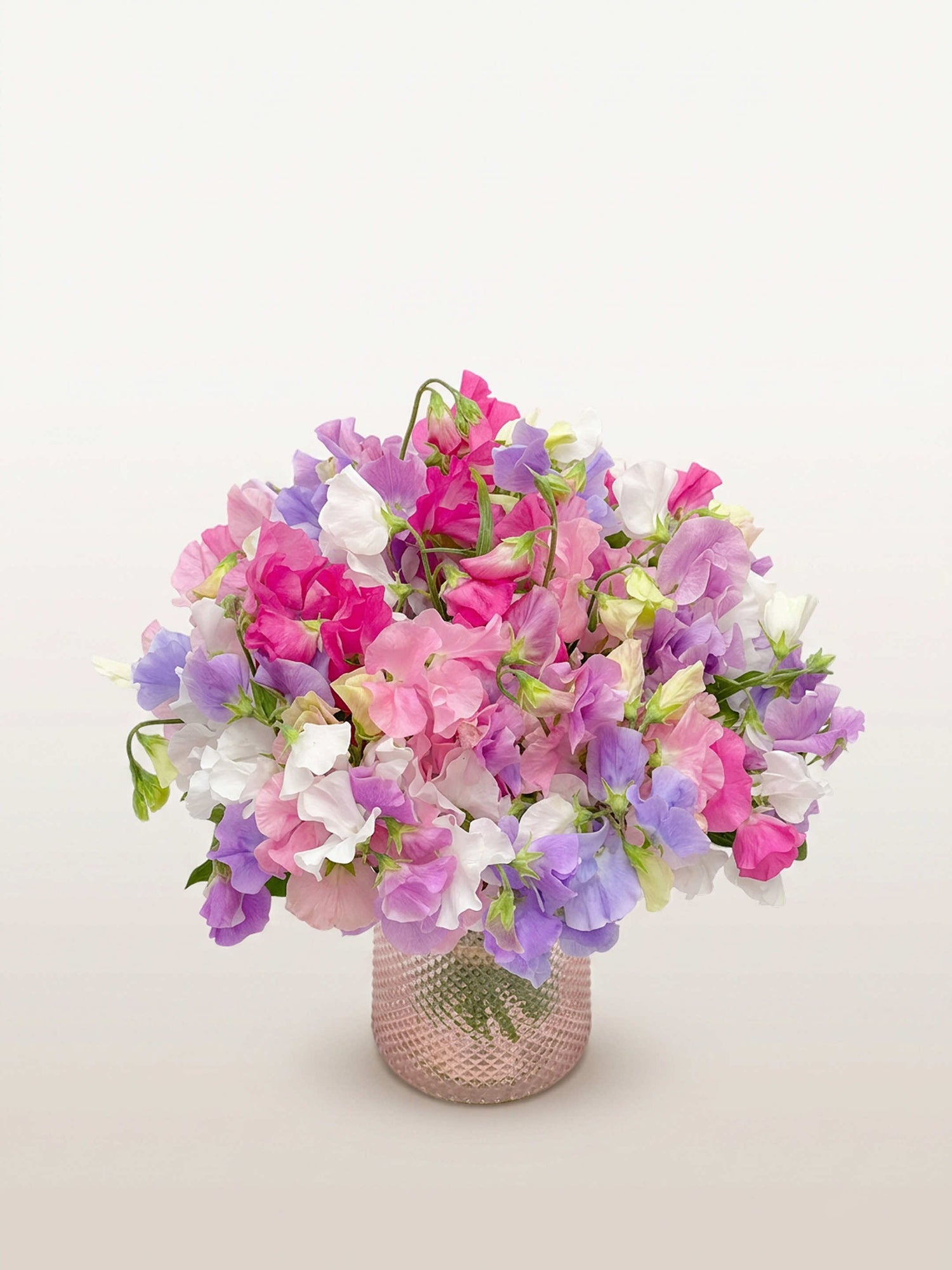Bouquet Colibri de pois de senteur roses, blancs et mauves dans un vase en verre texturé rose