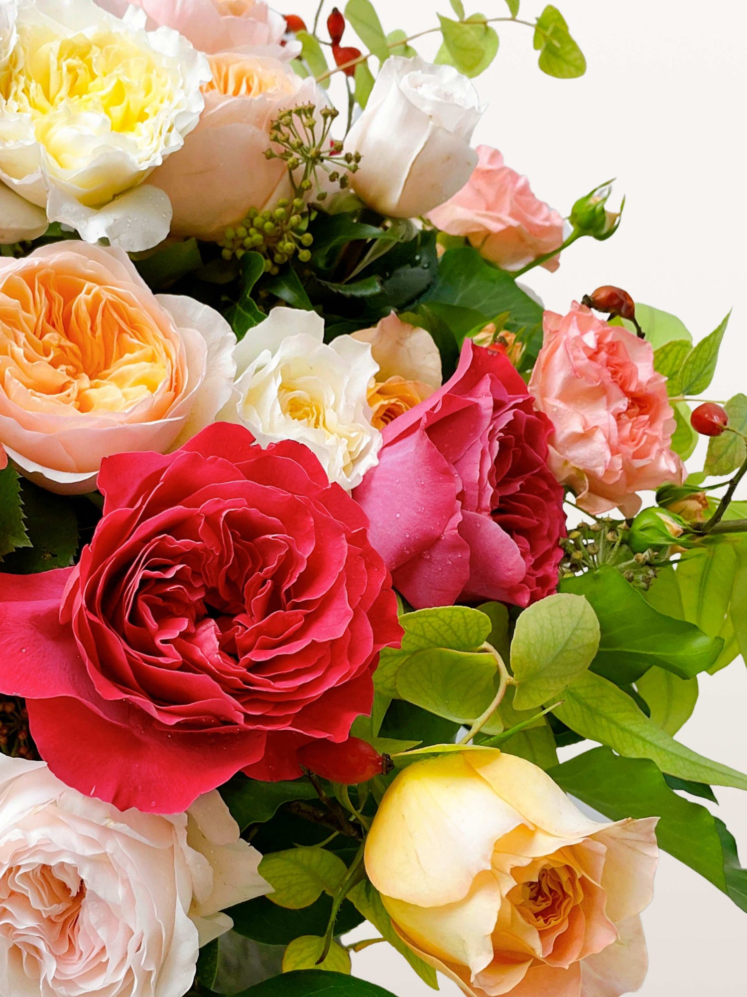 Rue de la Rosière, roses rouges, roses et jaune pâle mêlées à des feuillages verts et cynorrhodons