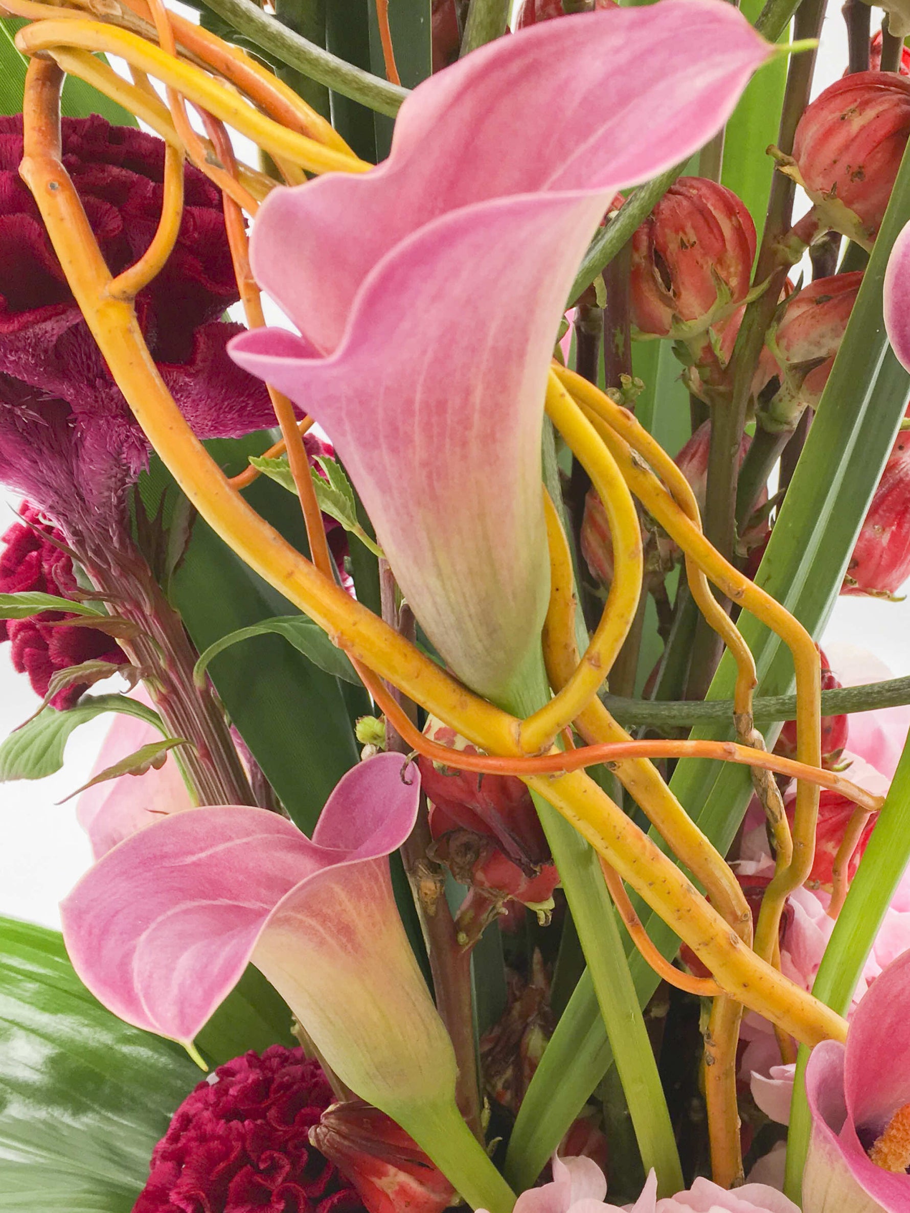 Arums roses en volutes entourés de tiges dorées entrelacées et de célosies pourpres