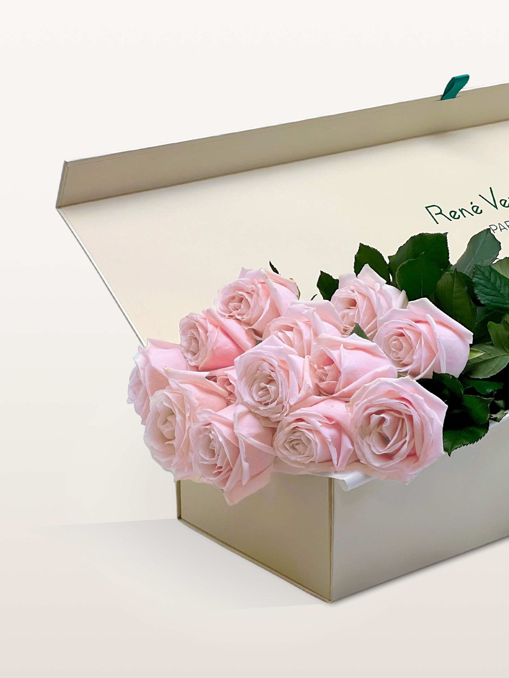 Coffret Princesse ivoire ouvert, quinze roses roses pâle et feuillage vert débordant du bord
