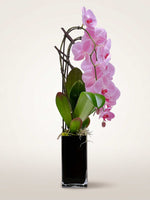 Orchidée phalaénopsis rose élancée dans un vase noir avec feuillage vert et arceaux décoratifs