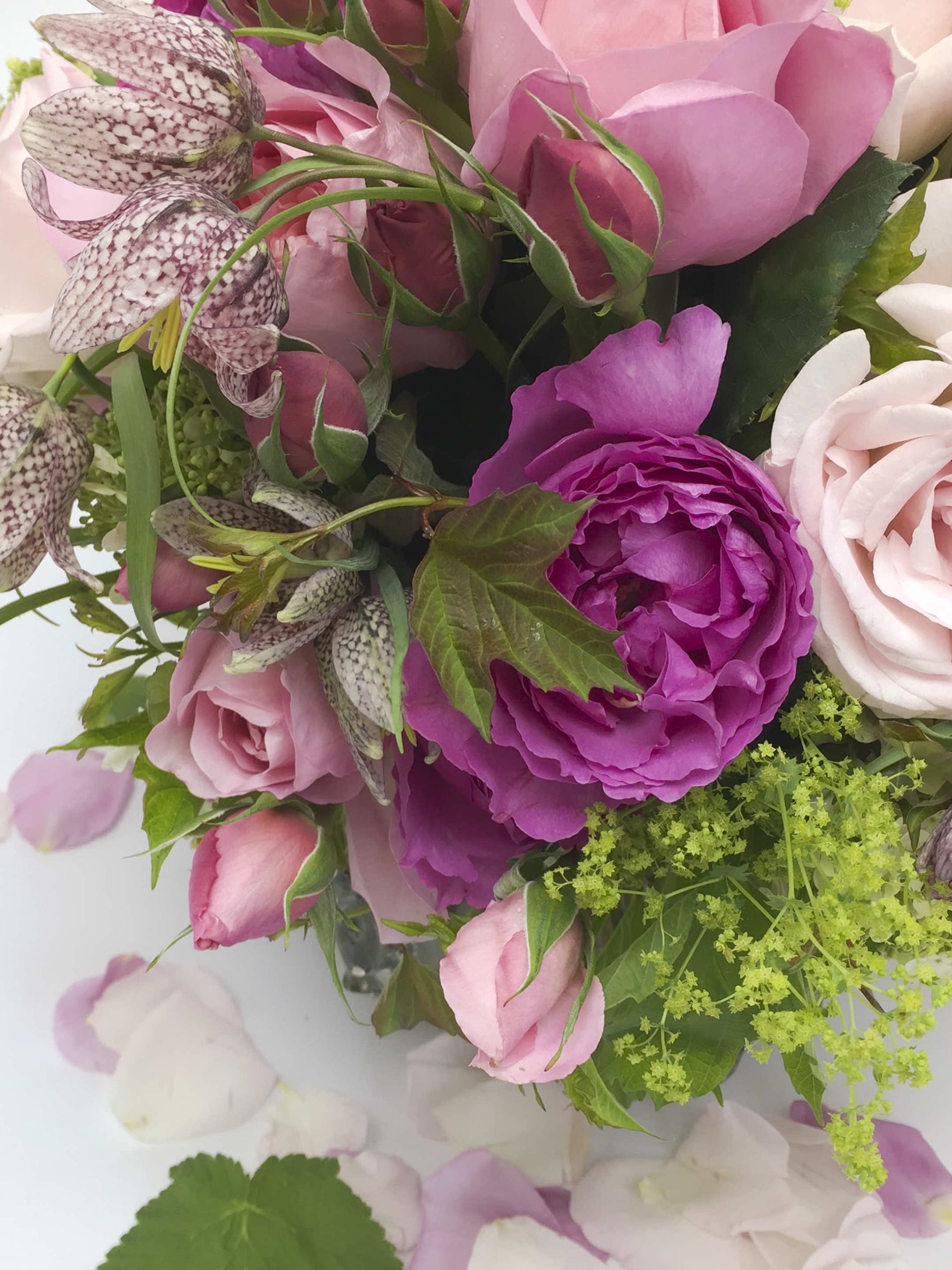 Roses roses et parme, fritillaires pintades tachetées et fleurs vertes d'alchémille entremêlées