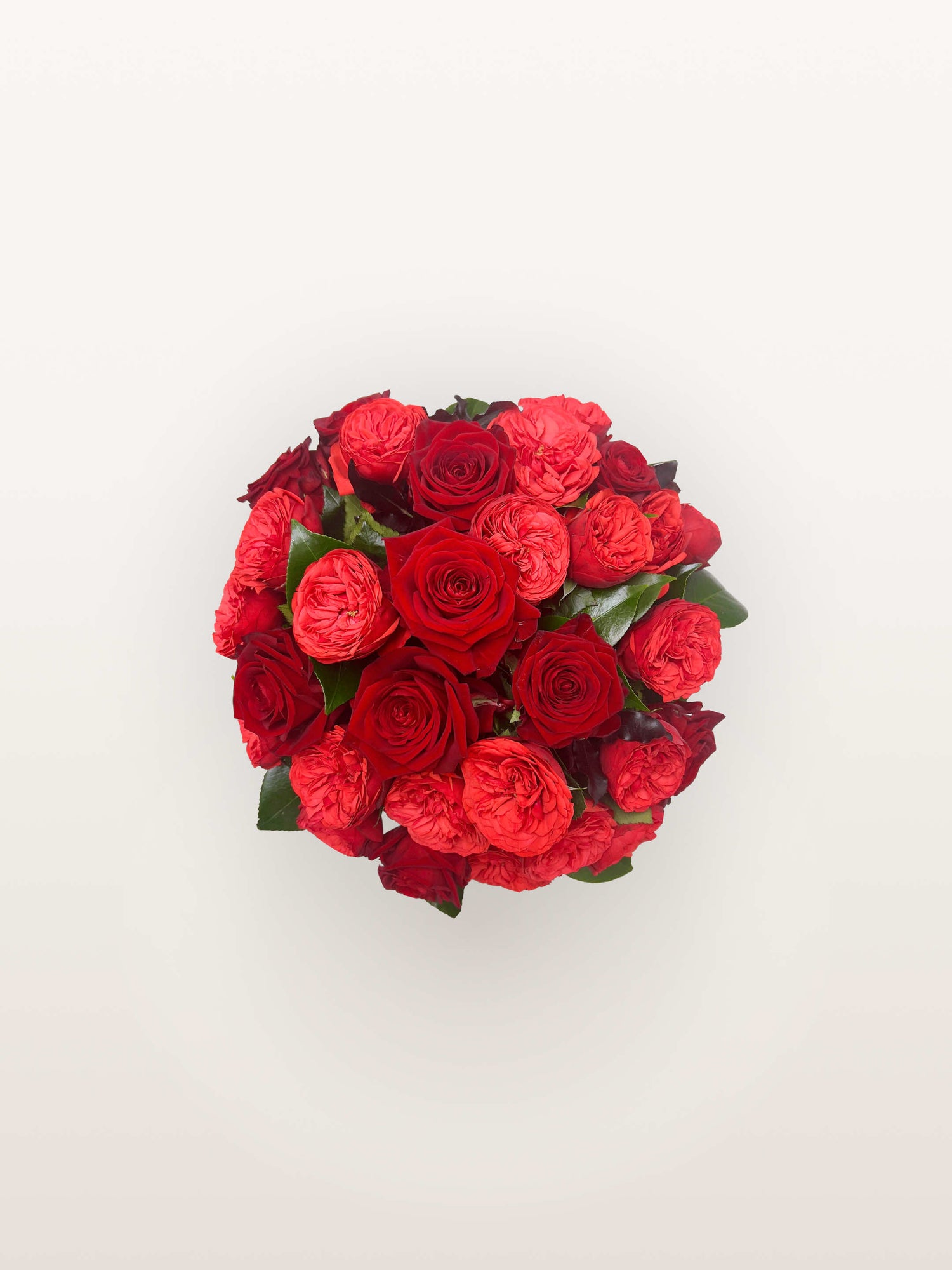 Cornaline, bouquet rond de roses rouges et roses rubis en boutons denses, feuillage vert entre les fleurs