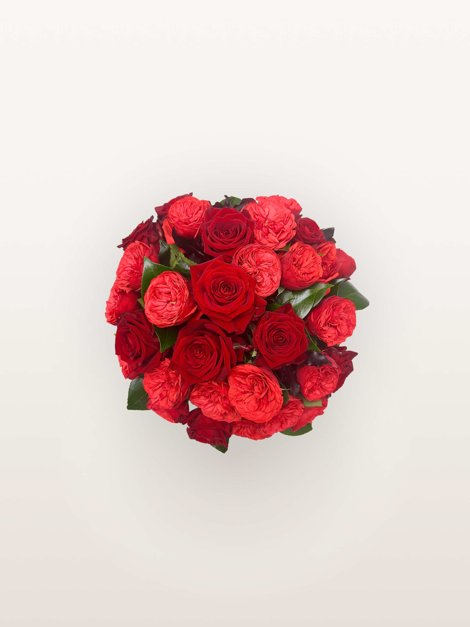 Cornaline, bouquet rond de roses rouges et roses rubis en boutons denses, feuillage vert entre les fleurs