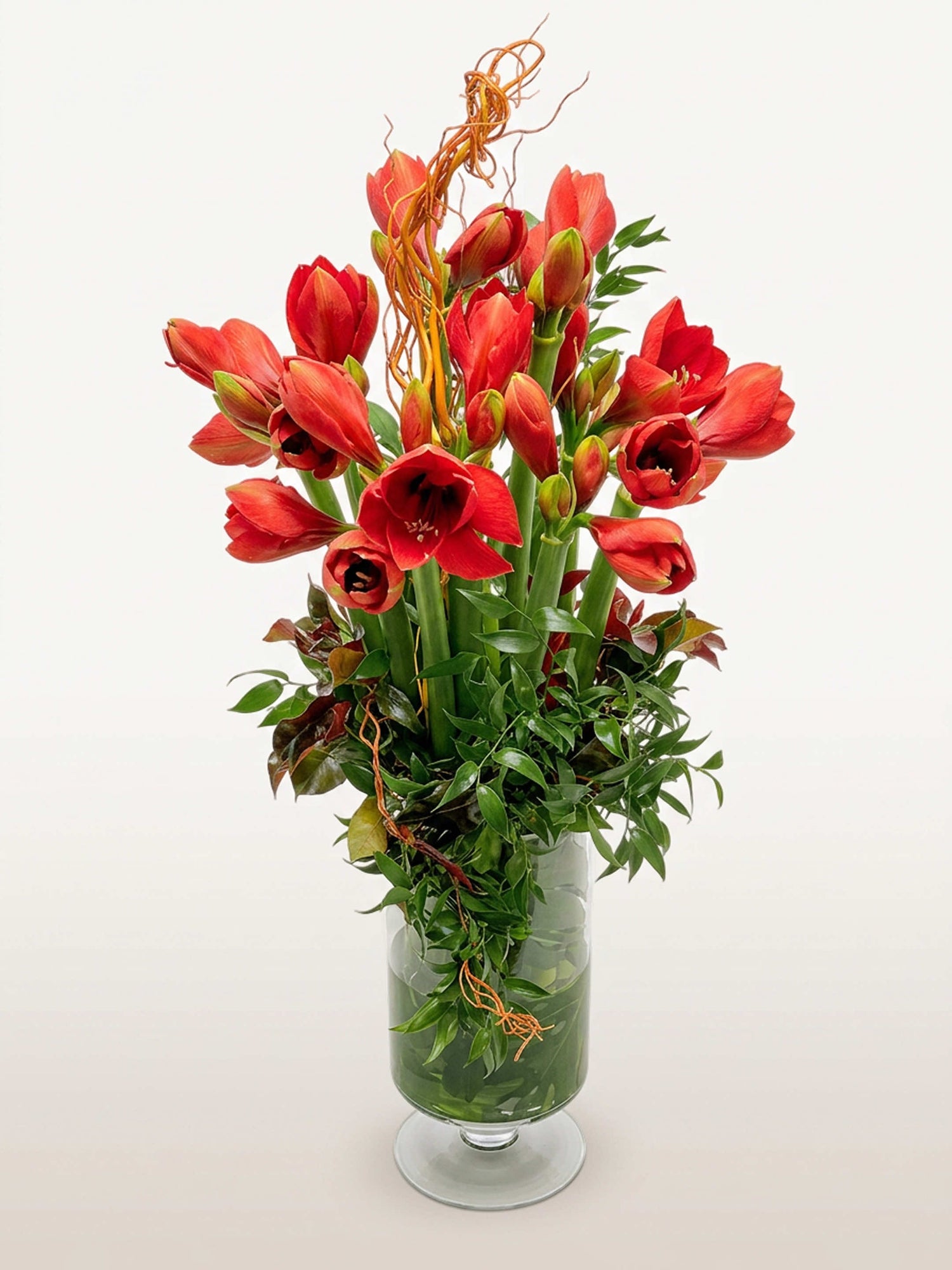 Porte de Montrouge L, bouquet graphique d'amaryllis rouges et de tiges bouclées orangées dans un vase en verre