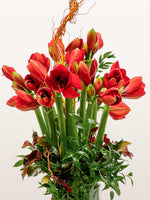 Porte de Montrouge est un bouquet graphique de grandes amaryllis rouges rehaussé de branches courbes et de feuillage vert