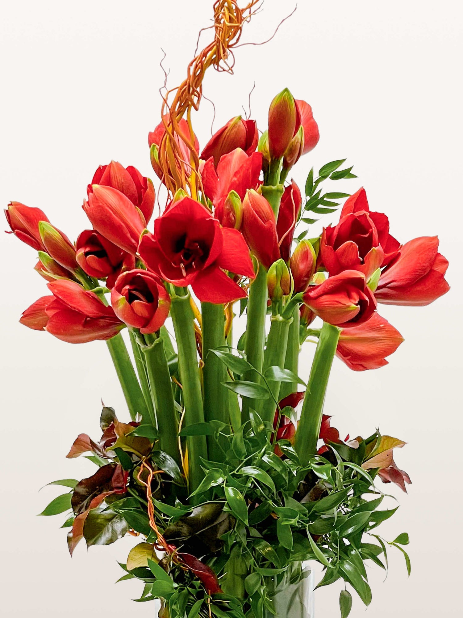 Porte de Montrouge est un bouquet graphique de grandes amaryllis rouges rehaussé de branches courbes et de feuillage vert