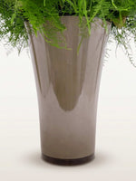 Le Royal N°100 se présente en vase taupe brillant garni de feuillage vert luxuriant retombant
