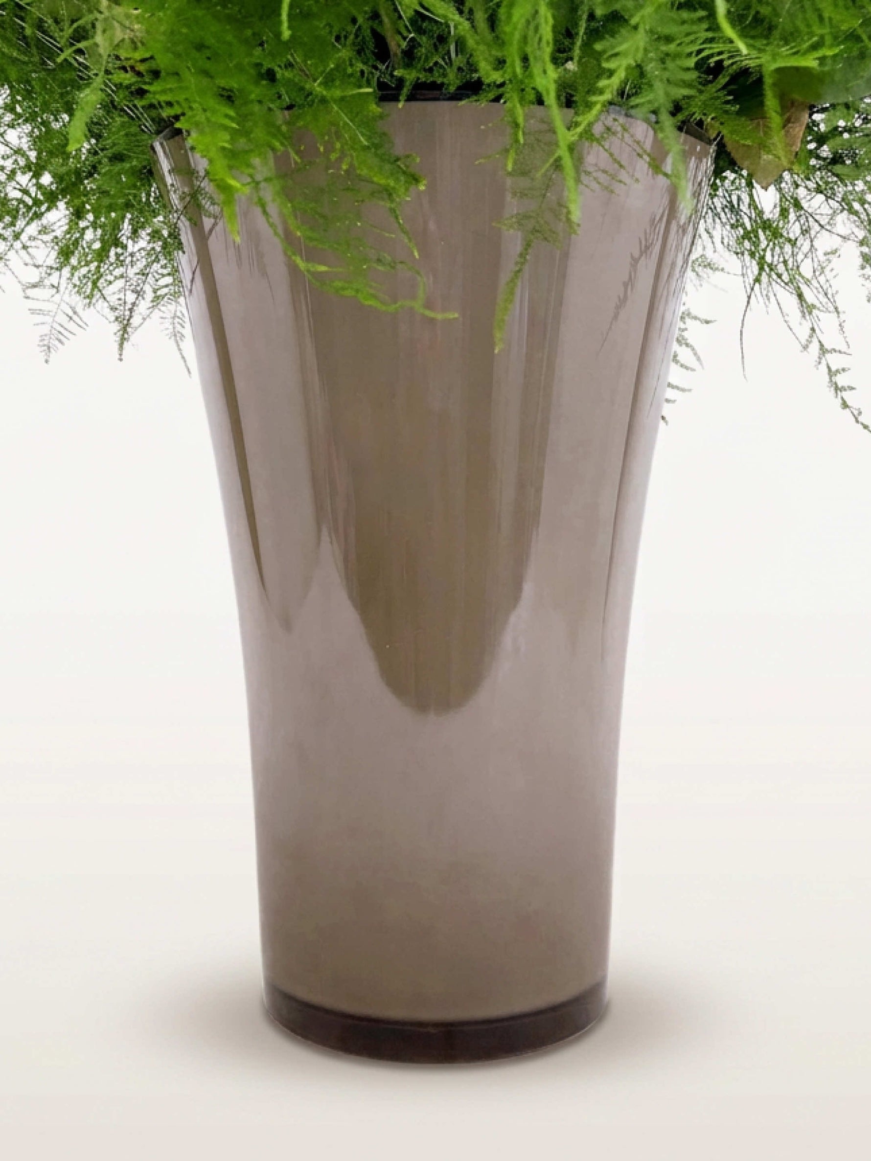 Le Royal N°100 se présente en vase taupe brillant garni de feuillage vert luxuriant retombant