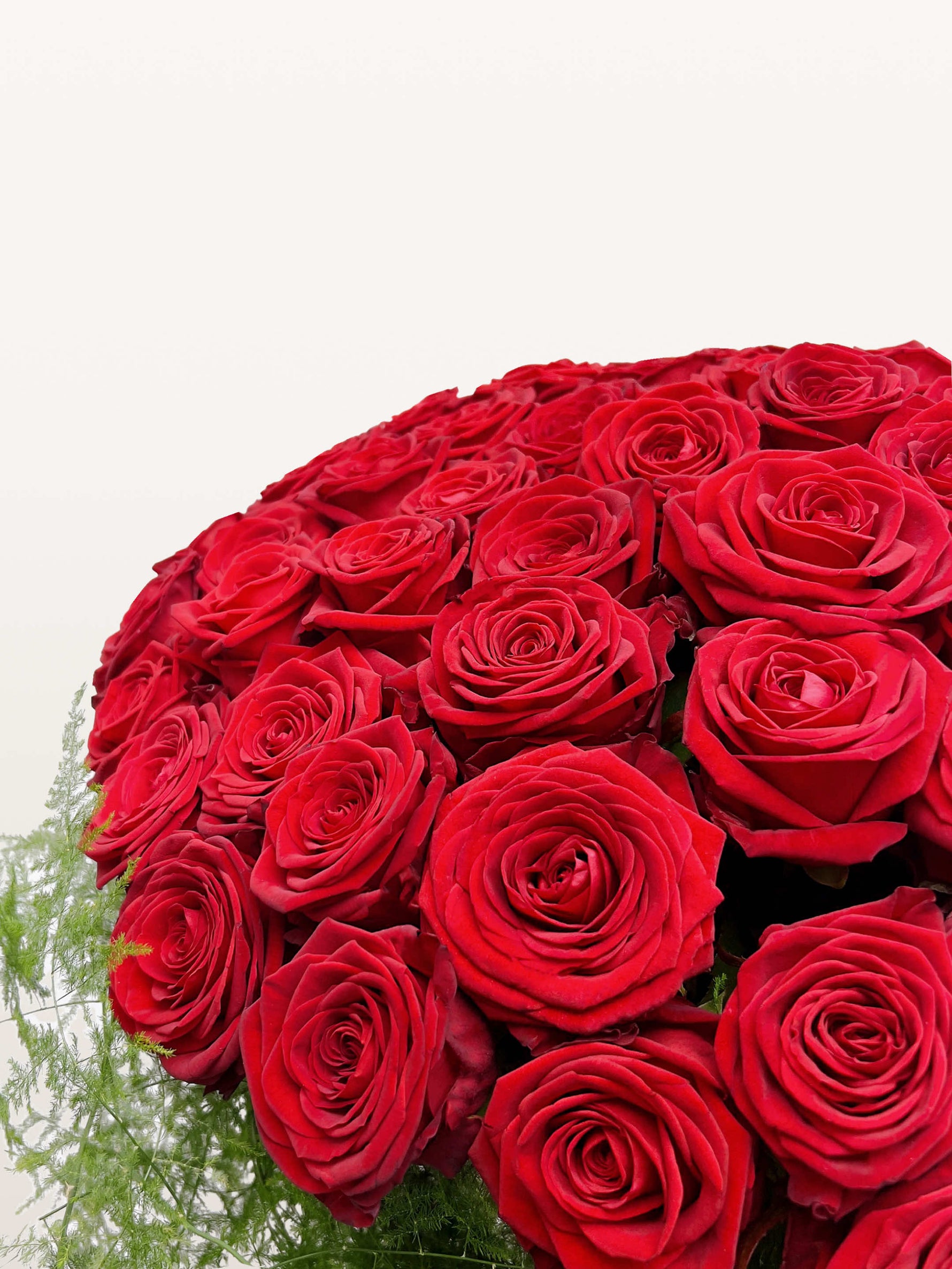 Le Royal N°100 dévoile une brassée XXL de roses rouges veloutées rehaussée de fines branches d'asparagus