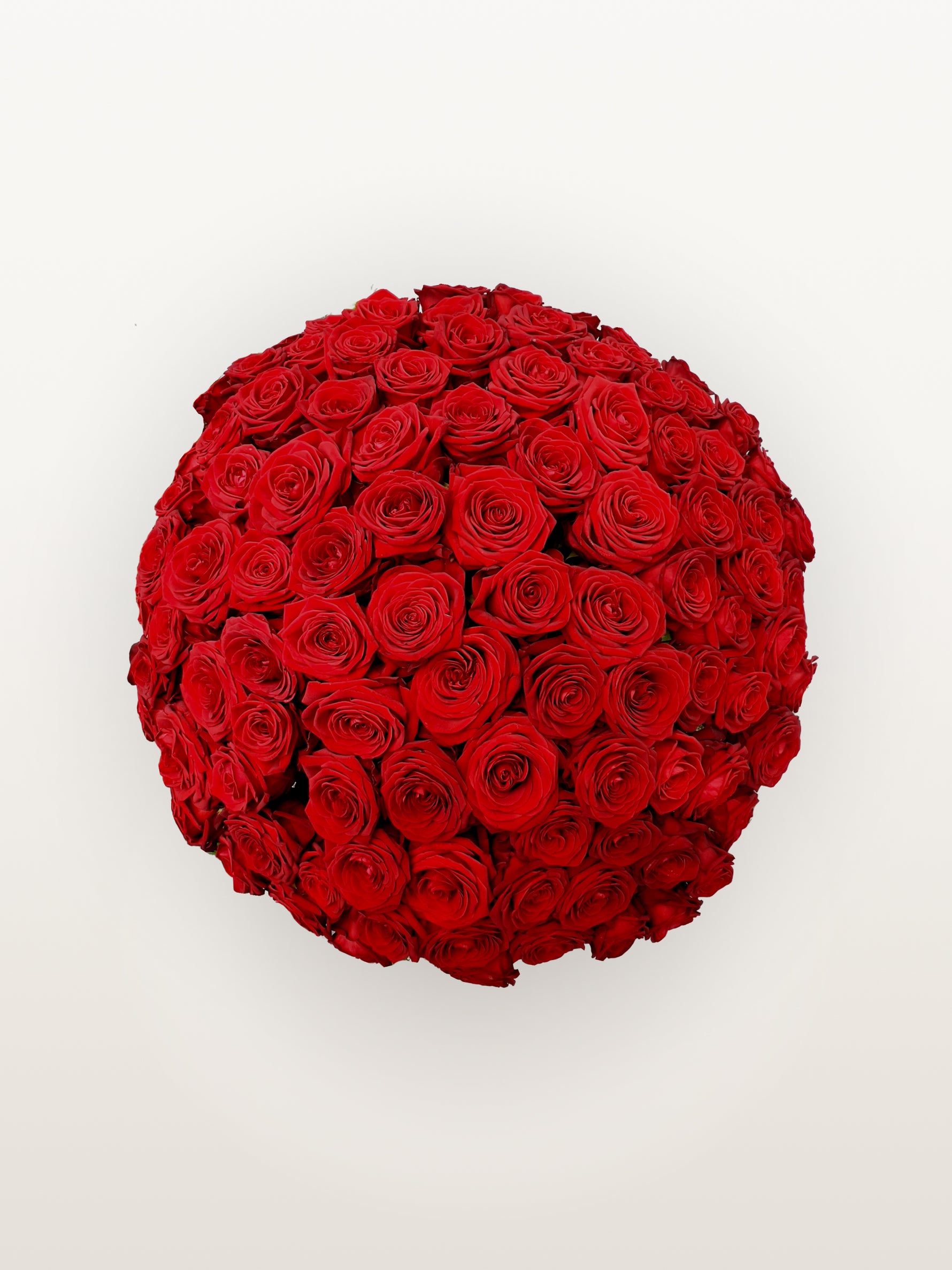 Le Royal N°100 déploie une brassée XXL de roses rouges veloutées formant un dôme dense et généreux