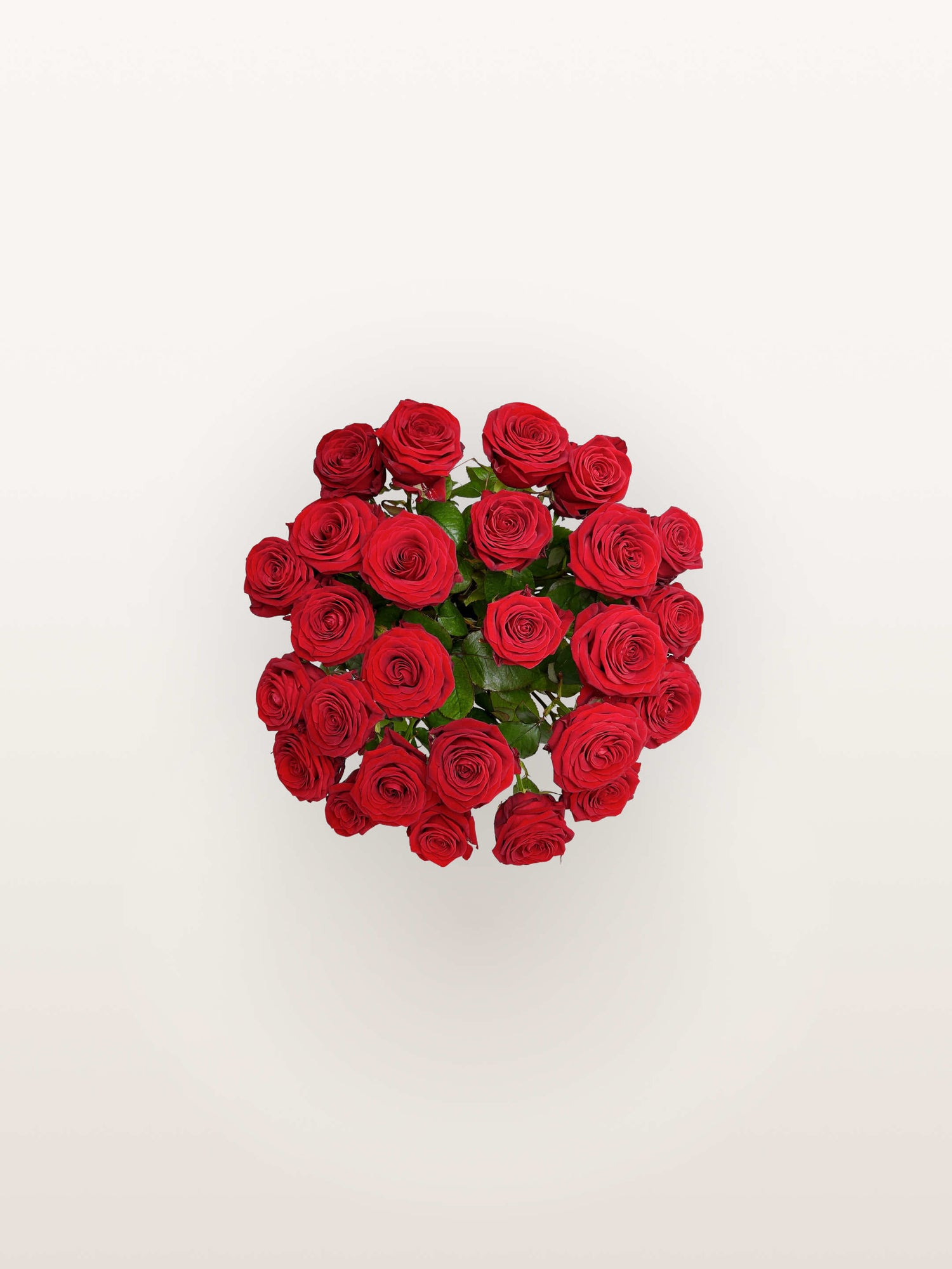 Le Royal N°25 rassemble une brassée de roses rouges veloutées aux pétales denses et généreux