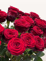 Royal N°50 réunit une brassée de roses rouges veloutées aux pétales délicatement ouverts
