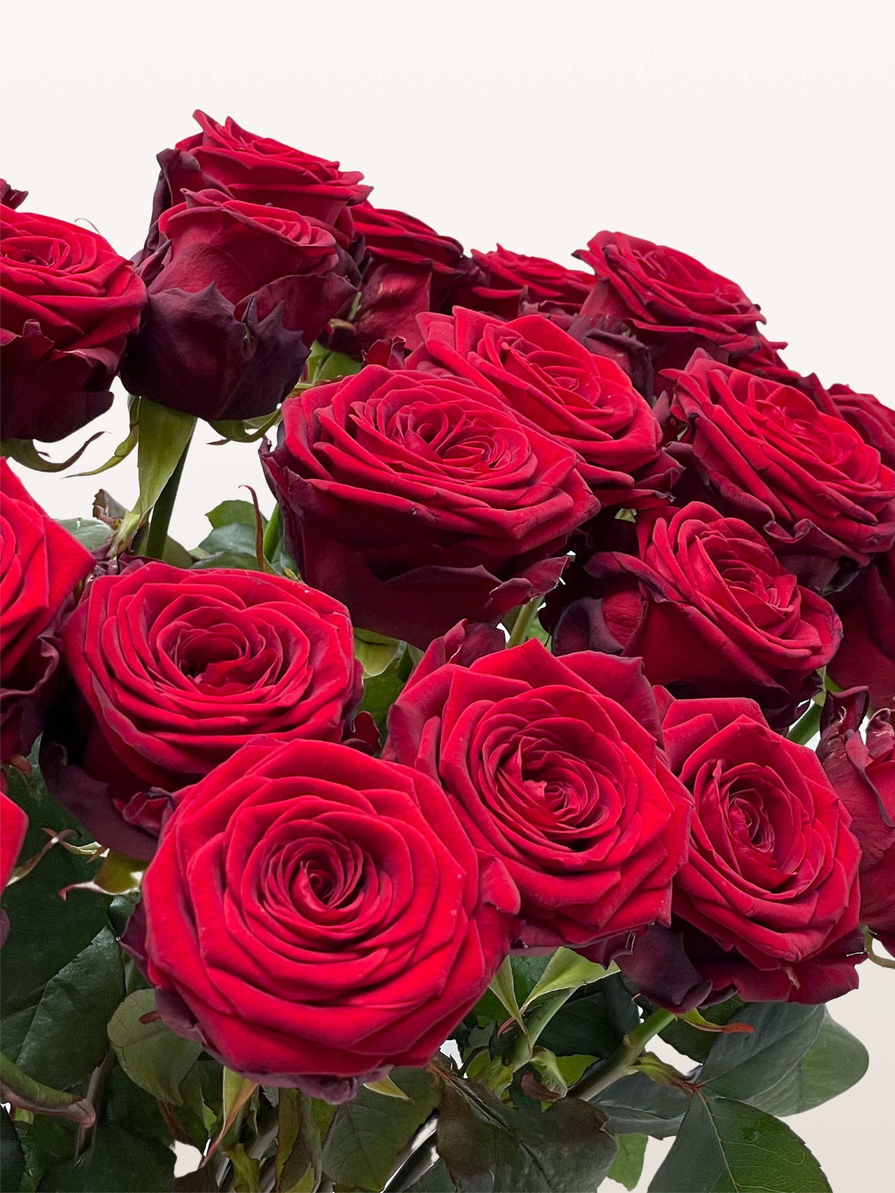 Royal N°50 réunit une brassée de roses rouges veloutées aux pétales délicatement ouverts