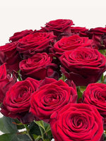 Royal N°75 XL présente une brassée de roses rouges veloutées aux pétales généreusement déployés