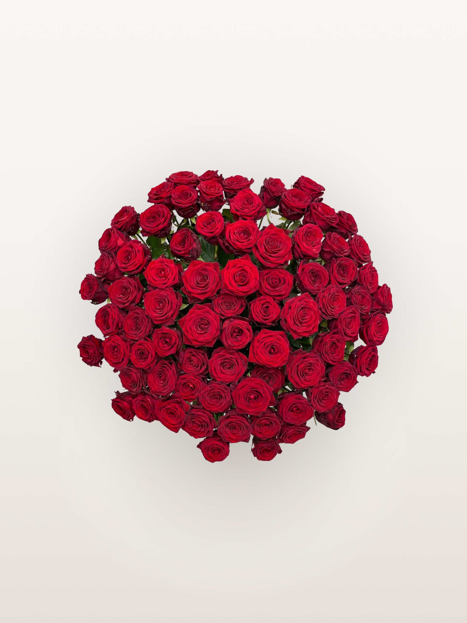 Royal N°75 rassemble une brassée XL de roses rouges veloutées, formant un généreux bouquet rond et dense